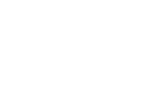 Instituto Democracia e Sustentabilidade