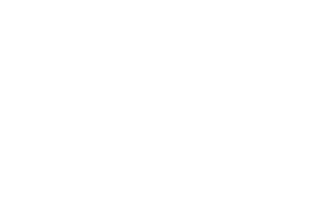 Instituto Socioambiental